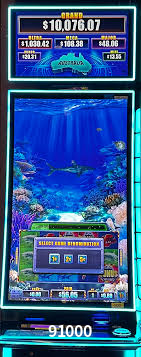 A Experiência Imersiva dos Cassinos Ao Vivo no 91000